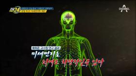 '미세먼지, 우리의 건강 괜찮을까?' 미세먼지가 우리 몸에 끼치는 영향!