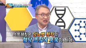 '스트레칭'으로 '당뇨병'과 '비만'까지 해결할 수 있다?!