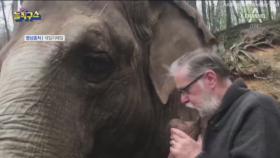 32년 넘어 재회한 코끼리·사육사…“뭉클한 우정”