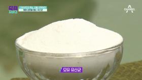 25kg 감량한 그녀의 성공 비법?! 체중 감량을 돕는 OO유산균!