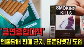 '금연종합대책' 멘톨담배 판매 금지, 표준담뱃갑 도입