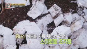 [선공개] 당신이 믿고 산 식물의 화분 속 확인해보셨습니까?