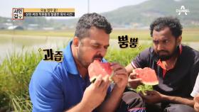 일한 뒤 먹는 시원-한 수박! 상린 씨와 직원들의 달콤한 휴식 시간