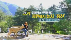 [예고] 알파카랑 산책할래? 자연에서 놀자 '홍천'