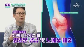 관절은 조기 예방과 관리가 중요하다! 관절에 관한 오해와 진실!_!