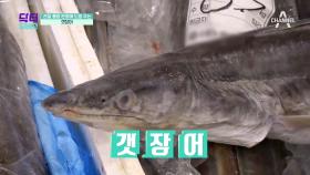 여름이 제철! 관절 건강을 되찾게 한 해산물, OOO의 정체는?!(ft.DHA)