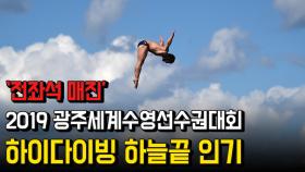 '전좌석 매진' 2019 광주세계수영선수권대회, 하이다이빙 하늘끝 인기