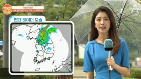 [날씨] 8/7 태풍 프란시스코 영향..비 오전에 대부분 그쳐