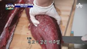 코스타리카 1일차 요리는 참치샐러드 & 초밥! 참치의 육고기 같은 비주얼