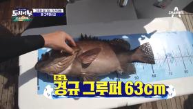 HOT장면 낚시 6시간 째 경규에게 천금같이 찾아온 63cm 그루퍼