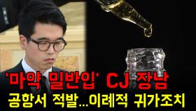 '마약 밀반입' CJ 장남, 공항서 적발...이례적 귀가조치