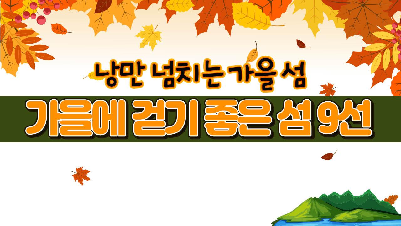 낭만 넘치는 가을 섬…‘가을에 걷기 좋은 섬 9선’ | ZUM TV