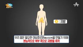 성호르몬 균형이 무너지면 살찌는 이유! 지방은 '제2의 난소' 역할을 한다...?!