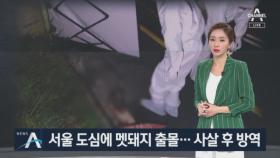 서울 도심서 출몰한 멧돼지 사살 후 방역…돼지열병 우려