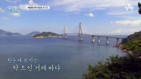 한 폭의 그림같은 비밀의 섬 '저도'!