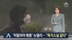 최악 스모그에 ‘독가스실’된 뉴델리…비행기도 못 간다