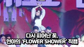 다시 피어난 꽃 현아의 'FLOWER SHOWER' 무대 직캠