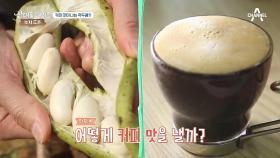 '콩으로 억대 매출 내는 청년 농부' 커피 맛이 나는 작두콩이 있다?!