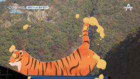 아름다운 한국의 산사! 호랑이가 사는 절이 있다?!