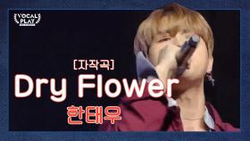 제대로 이 갈았다!매력 뿜뿜 고려대 '한태우'의 'Dry Flower'