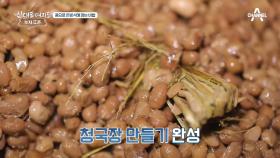 콩으로 돈방석에 앉는 비법이 있다?! (ft. 청국장 만들기)