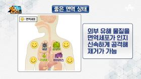 전신 건강의 핵심인 면역! 건강한 면역 상태란 무엇일까...?