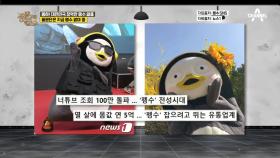 ＂펭-하＂ 벼락스타가 된 화제의 연습생! 대한민국을 장악한 펭수 열풍