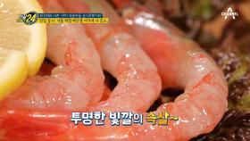 ※당일 공수※ 겨울 제철 해산물 다 있는 서촌 맛집 大공개!