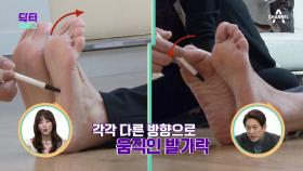 발바닥을 간질일 때 나타는 반사 행동으로 뇌졸중 테스트를 할 수 있다?