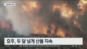 [글로벌 뉴스룸]호주, 두 달 넘게 산불 지속…서울 면적 61배 잿더미