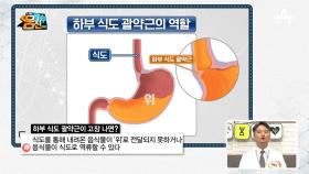 ※누구도 안심할 수 없다※ 방치하면 식도암으로 이어지는 '역류성 식도염'