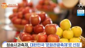 [네트워크 투데이] 청송사과축제, 대한민국 '문화관광축제'로 선정