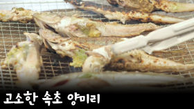 소스와 먹으면 환상 고소한 맛이 일품인 속초 양미리