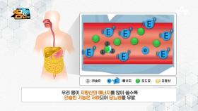 한국 사람은 특히 주목해야 한다?! 내장 지방형 마른 당뇨의 특징은?