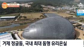 [네크워크 투데이] 돔형 식물원 '거제 정글돔' 문 활짝