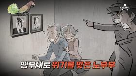 ※황당 사건※ 노부부가 키우던 앵무새가 김 부자 초상화에 변을 봐 추방 당하다!