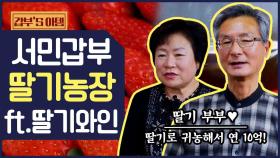 [갑부's 아템] 10억짜리 딸기가 있다?! 전세계를 사로잡은 '한류 딸기'의 매력 (ft. 딸기와인)