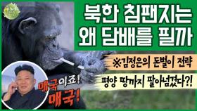 [이만갑 모아보기] 김정은의 충격적인 돈벌이 수단! 평양동물원에 '담배피는 침팬지'가 등장한 사연은?