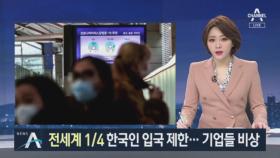세계 4분의1이 한국인 입국 제한…한국 기업들도 비상