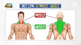 나잇살 없앨 수 있는 *체간근 다이어트*! 그렇다면 체간근은 무엇일까?!