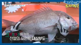 상렬&준현까지 합류하다! 오늘의 포인트는 태곤이 82cm 참돔 잡은 '대삼부도'?!