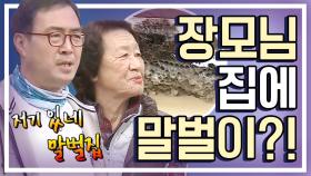 [세이하이 탈북미녀] 제리 장모님댁 최대 위기! '말벌 폭격'에 이만기 X꼬 빠지게 도망갔다?! (;)