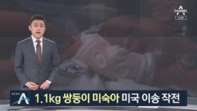 1.1kg 쌍둥이 미숙아 미국 이송 작전…긴박했던 순간