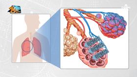 누구도 안심할 수 없다! 국내 사망 원인 3위가 폐렴...?