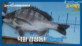 ＂저건 반칙이야＂ 덕화가 영역 밖에서 잡은 감성돔이 불러온 분쟁