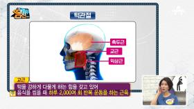 전신 건강을 위협하는 '얼굴의 심장' 턱관절에 주목하라?!