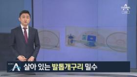 몸에 좋다고…‘사슴 태반·아프리카발톱개구리’ 까지 밀수