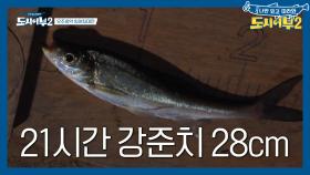 얼마만에 보는 생명체인가 덕화가 21시간 대사투 끝에 잡은 것은?