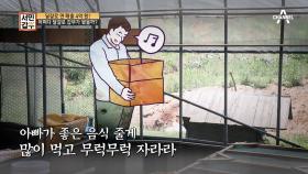 연이은 사업 실패에도 '달걀'로 갑부가 될 수 있었던 이유!