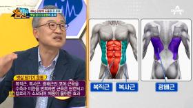 처진 살을 끌어올려 주는 몸신의 운동법, '뱃살 당기기 운동' 大공개!